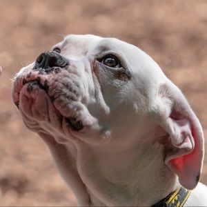 Meet your Posher, Pat